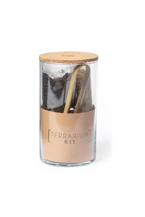 Makito Anymak · Terrario con semillas de cactus