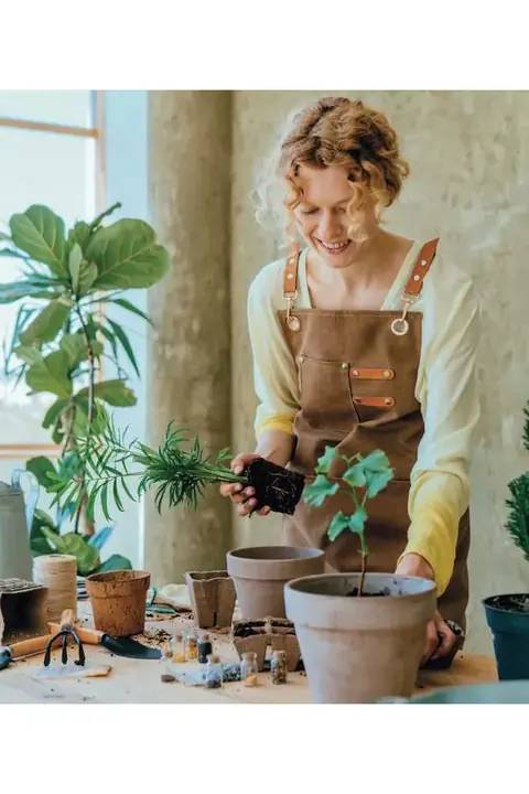 Makito Luluar · Pai pai plantable