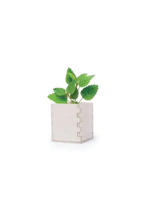 Makito Merin · Maceta de madera
